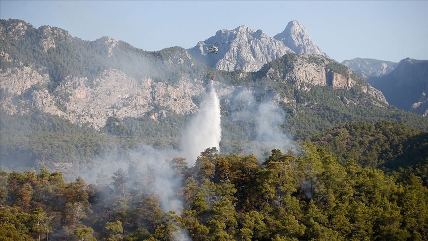 Orman yangınları atmosferdeki karbondioksit emisyonunu artırıyor