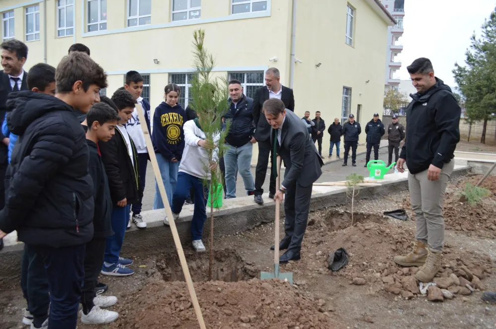 Baykan’da  Ağaç Dikme Seferberliği: Fidanlar Toprakla Buluştu