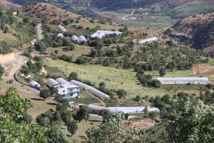 Ulaştı Köyü’nün  Seracılık Faaliyeti Büyüyor