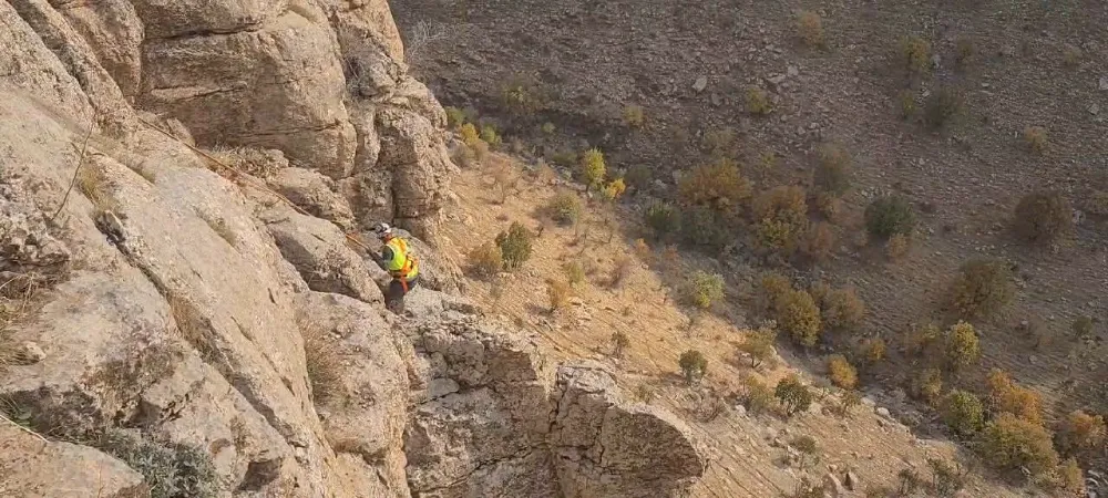 Siirt’te Uçurumda Mahsur Kalan Keçi, Ekipler Tarafından Kurtarıldı