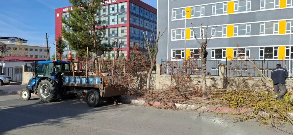 Siirt’e Ağaç Bakımı ve Dikim Çalışmaları Sürüyor.