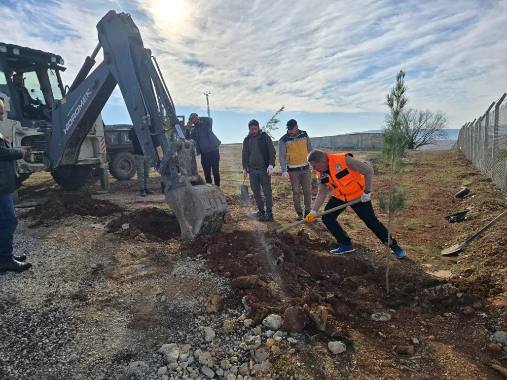 Atabağı Mesire Alanında Fidanlar Toprakla Buluştu