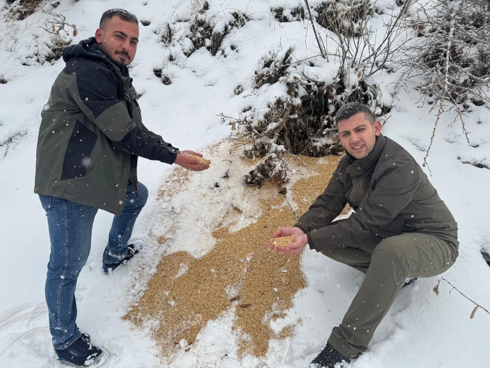 Siirt’e 300 Kg. ‘Besi Yemi’ Doğaya Bırakıldı