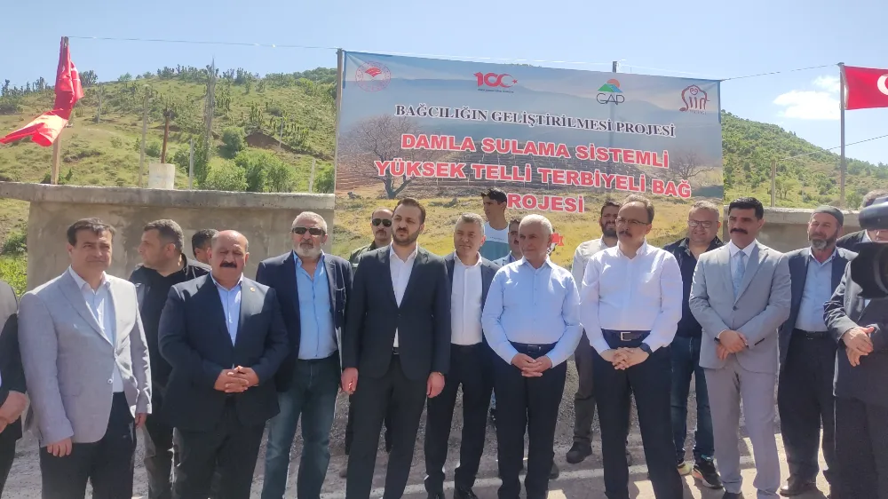 Baykan Kasımlı Köyü Bağcılığı geliştirme Projesinin açılışı Yapıldı.