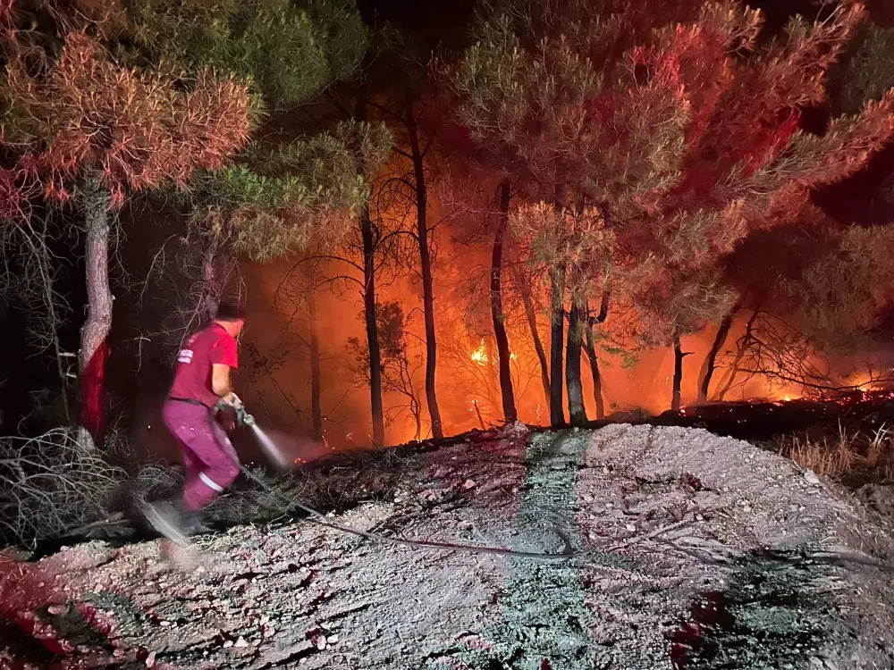 SİİRT’TE ORMANLIK ALANLARA GİRİŞ İKİNCİ BİR DUYURUYA KADAR YASAKLANDI