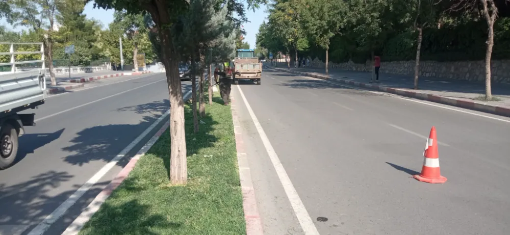 Siirt Belediyesinin Temizlik Faaliyetleri Sürüyor 