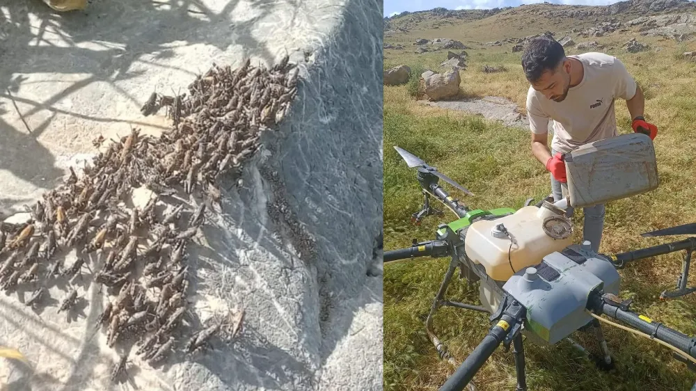 Siirt’te Çekirge Mücadelesi İçin Dron ile İlaçlama Yapıldı