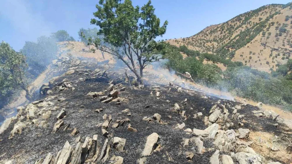 Siirt’e Dağlık Alanda Çıkan Yangın Ekiplerin Mücadelesi ile  Söndürüldü