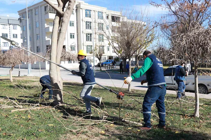 Park ve sokaklarda peyzaj çalışmaları devam ediyor
