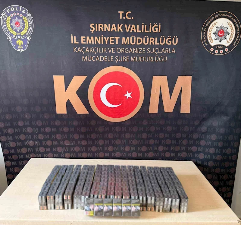 Şırnak’ta terör, kaçakçılık ve asayiş operasyonları: 6 tutuklama
