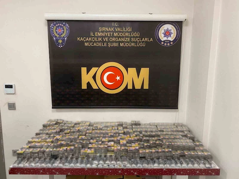 Şırnak’ta terör, kaçakçılık ve asayiş operasyonları: 6 tutuklama
