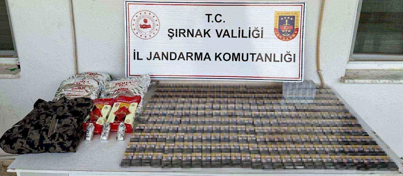 Şırnak’ta kaçakçılık operasyonu: 1 tutuklama
