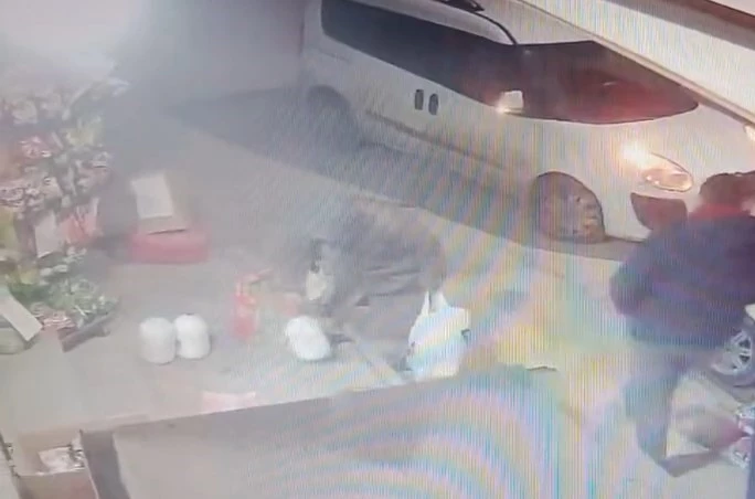 Elazığ’da ayran çalan kadın kameralara yakalandı
