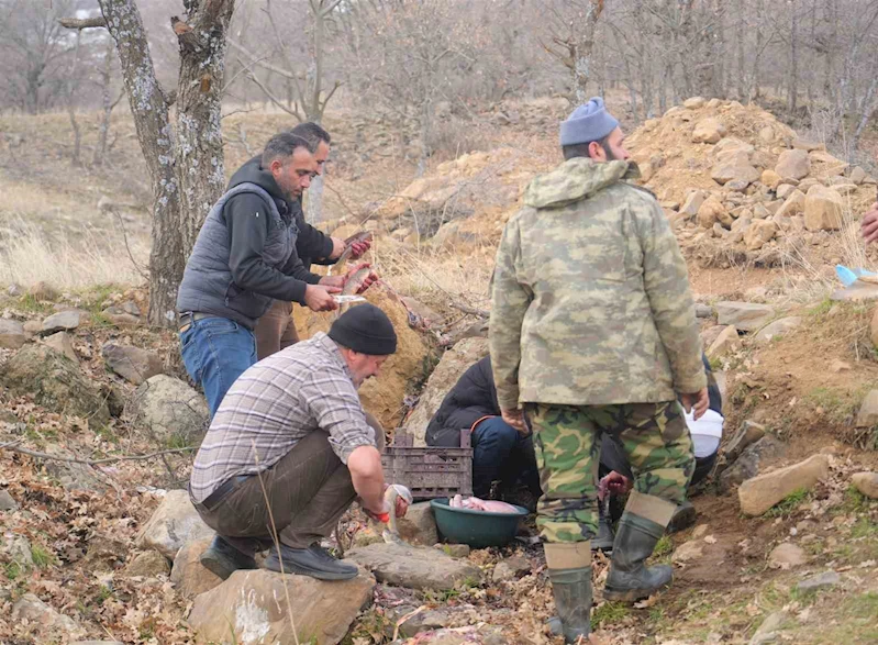 Kalehan Barajı’nda balık ekmek keyfi
