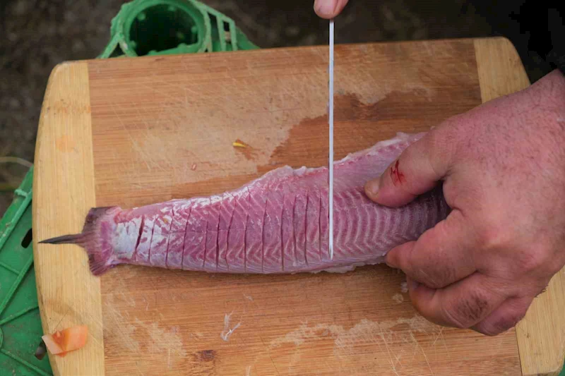 Kalehan Barajı’nda balık ekmek keyfi
