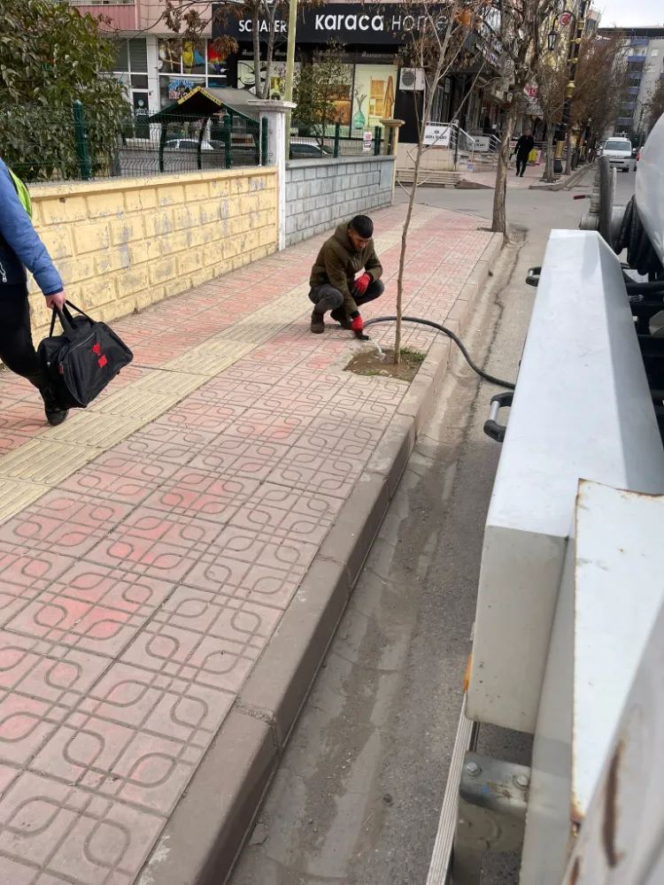 Siirt Belediyesi Ekiplerinden Ağaçlara Can Suyu