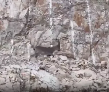 Siirt Eruh’ta Eğitim Ziyaretine Doğa Sürprizi