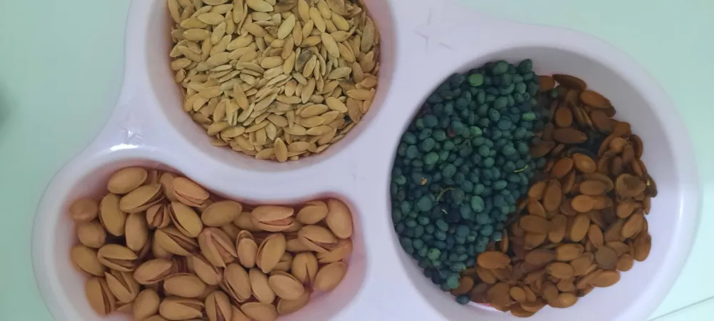 Siirt Mutfağından Enstantaneler: Lezzetin, Tarihin ve Kültürün Buluştuğu Şehir