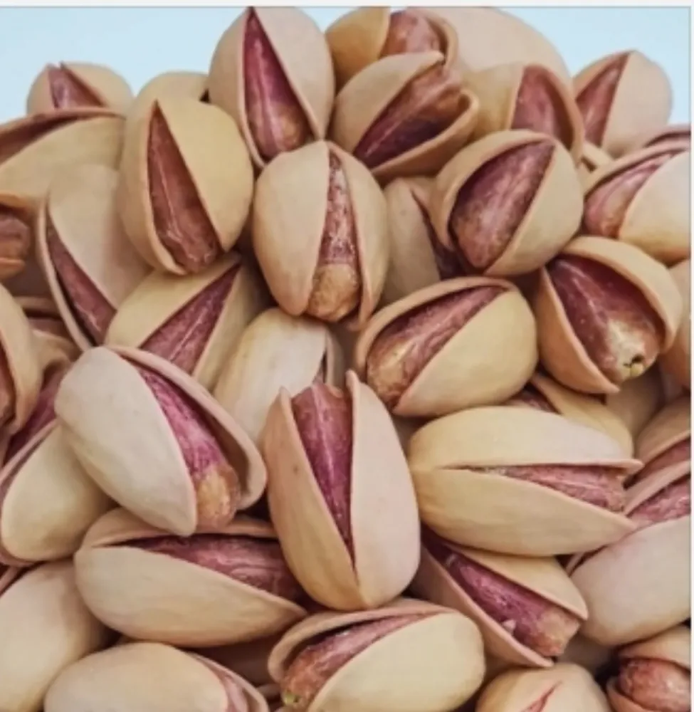 Siirt Mutfağından Enstantaneler: Lezzetin, Tarihin ve Kültürün Buluştuğu Şehir