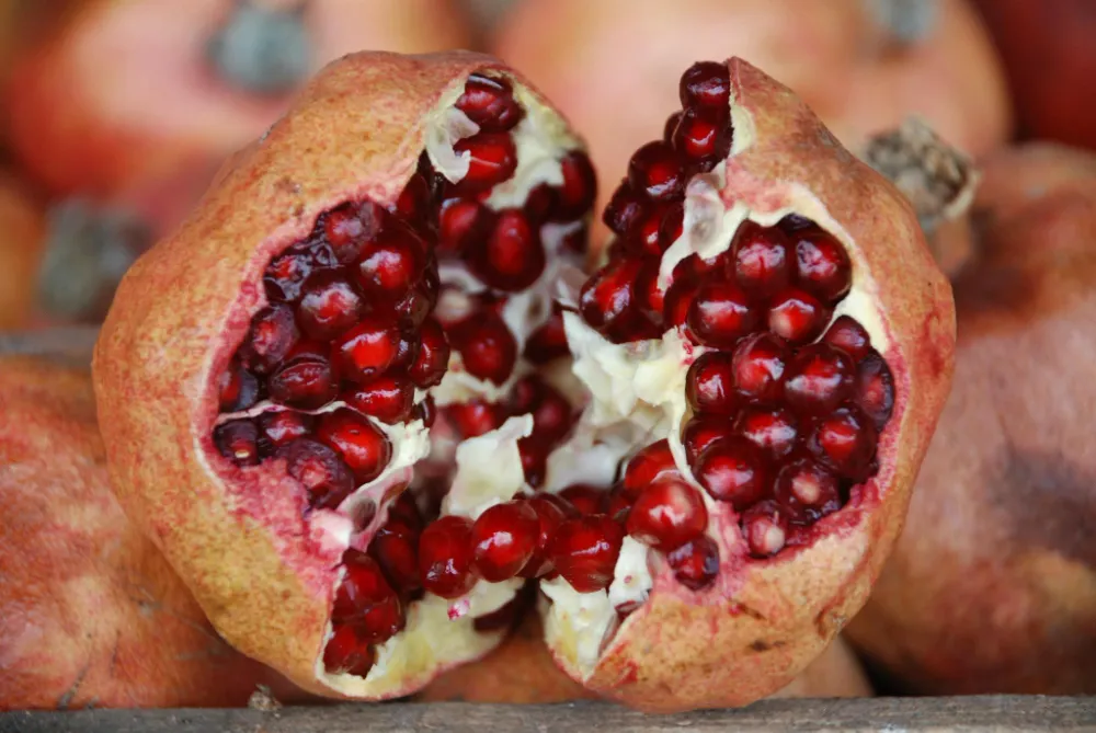 Zivzik Nar Hasadı Bereket Getiriyor – Siirt’ten Türkiye’ye Uzanan Bir Lezzet Hikayesi