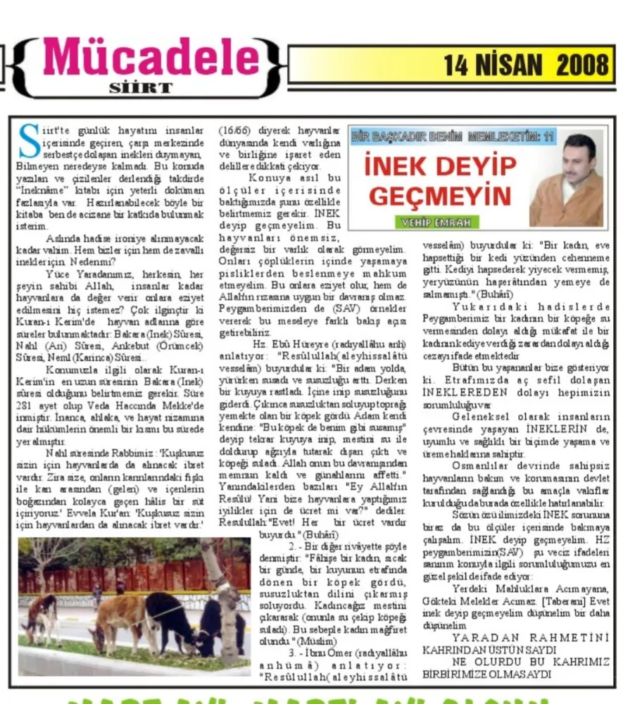 Seyyah Vehip Emrah, Bir Zamanlar “İnek Deyip Geçmeyin” Demiştik...