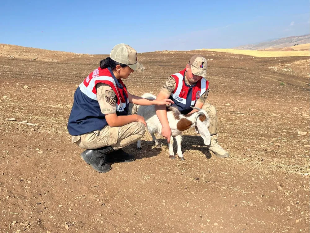 SİİRT JANDARMA ÇEVRE DOĞA TİMİNDEN (HAYDİ) DOĞA DOSTU ÇALIŞMALAR
