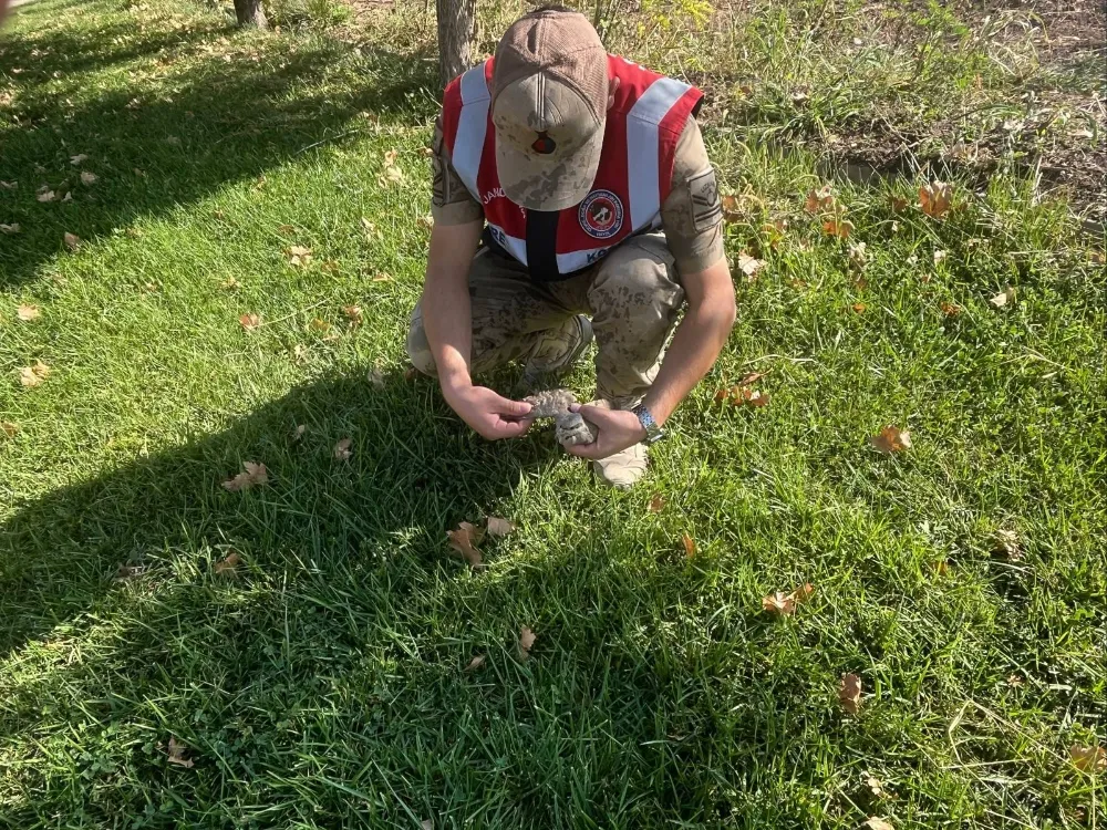 SİİRT JANDARMA ÇEVRE DOĞA TİMİNDEN (HAYDİ) DOĞA DOSTU ÇALIŞMALAR