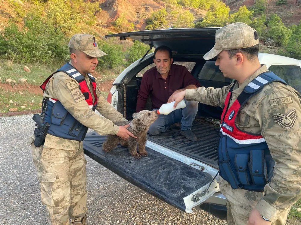 SİİRT JANDARMA ÇEVRE DOĞA TİMİNDEN (HAYDİ) DOĞA DOSTU ÇALIŞMALAR