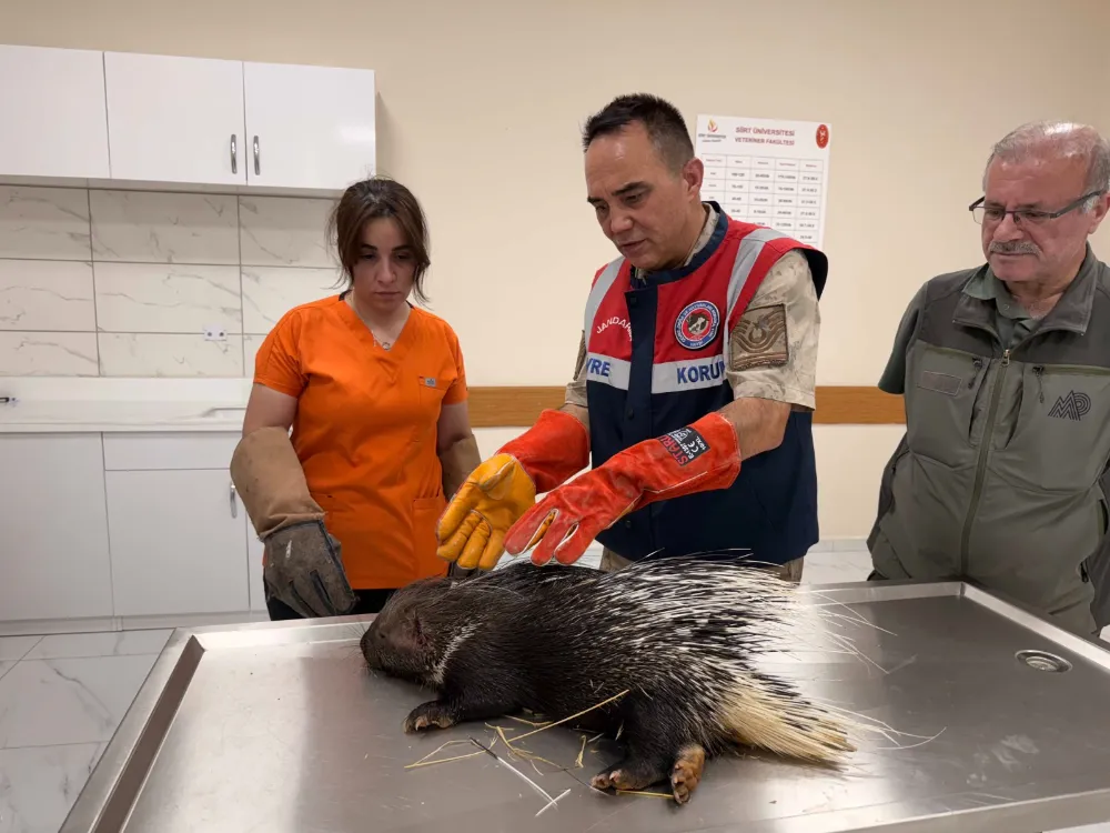 SİİRT JANDARMA ÇEVRE DOĞA TİMİNDEN (HAYDİ) DOĞA DOSTU ÇALIŞMALAR