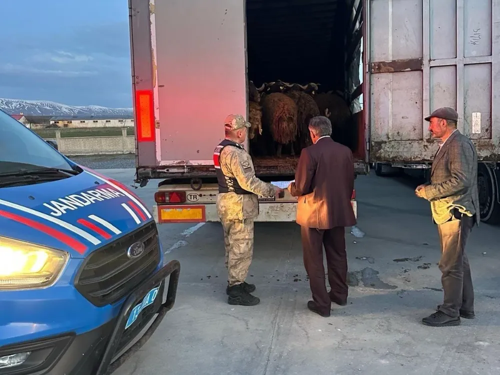 Çalınan koyunlar komşum ilimiz 