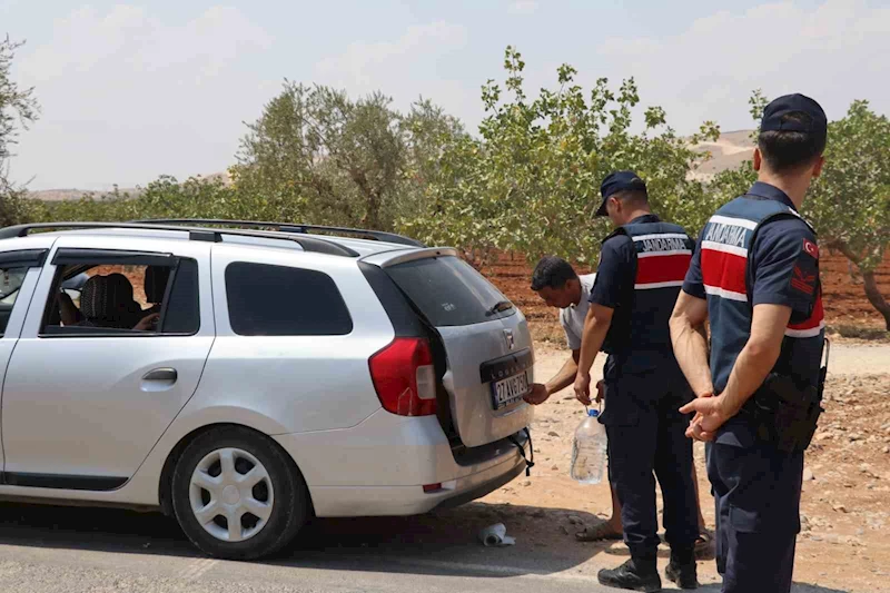 Fıstık hırsızlığına karşı jandarmadan sıkı denetim
