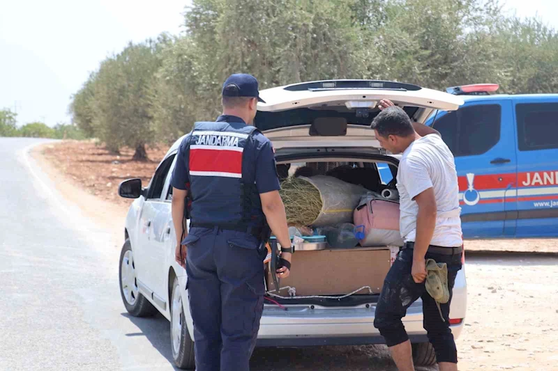 Fıstık hırsızlığına karşı jandarmadan sıkı denetim
