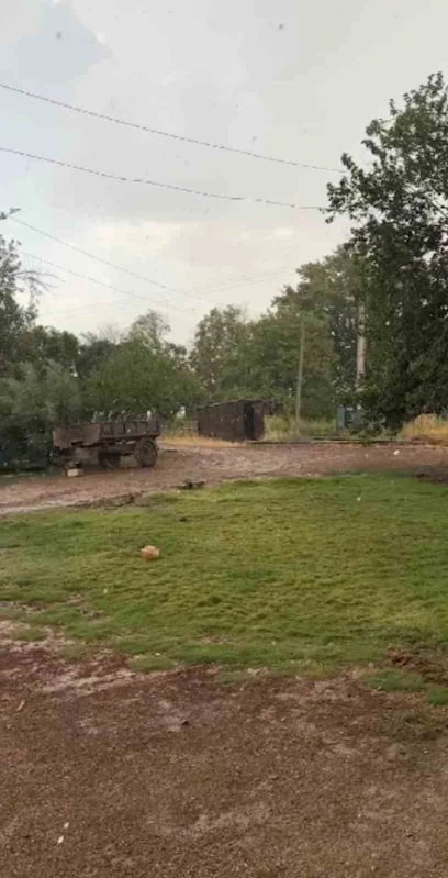 Şanlıurfa’da yaz ortasında sağanak şaşırttı
