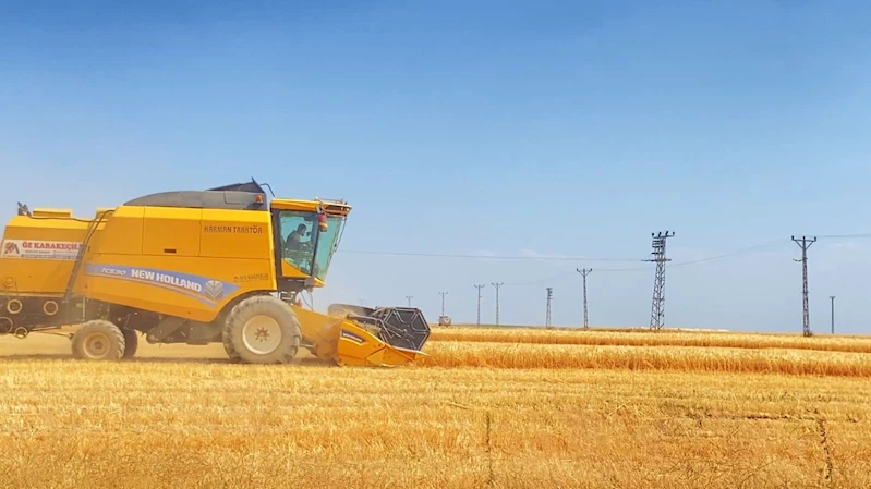 Adilcevaz’da buğday hasadı devam ediyor
