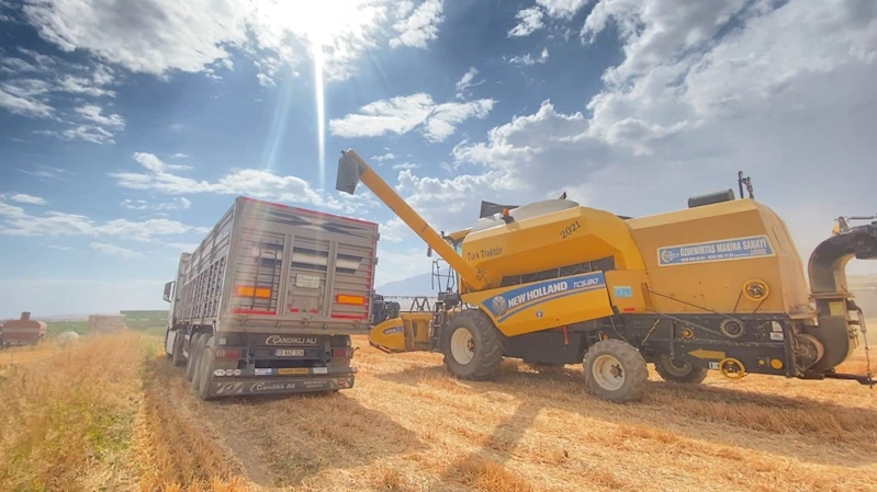 Adilcevaz’da buğday hasadı devam ediyor
