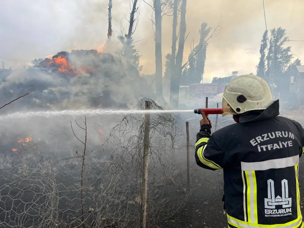 Hınıs’ta ot yangını