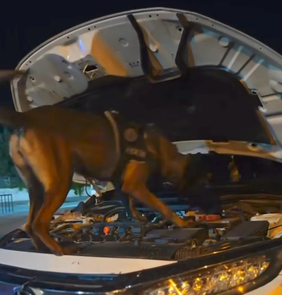 Muş’ta Polisiye Operasyon Hız Kazandı: Suçlulara Göz Açtırılmıyor!