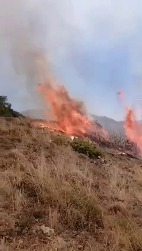 İspir’de Alevler Dehşet Saçtı: Bitki Örtüsü Yangını Korkuya Yol Açtı