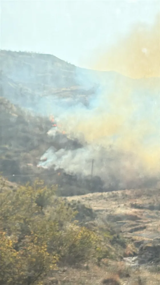 Siirt, Baykan’da Büyük Çaplı Orman Yangını: Söndürme Çalışmaları Sürüyor