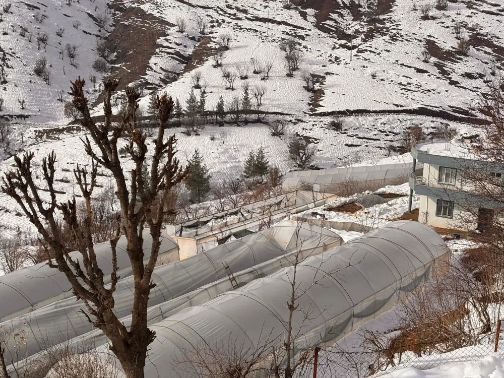 Baykan Ulaştı Köyü’nde Kar Hasarı İncelemesi: Üreticiler İçin Destek Süreci Başlatıldı