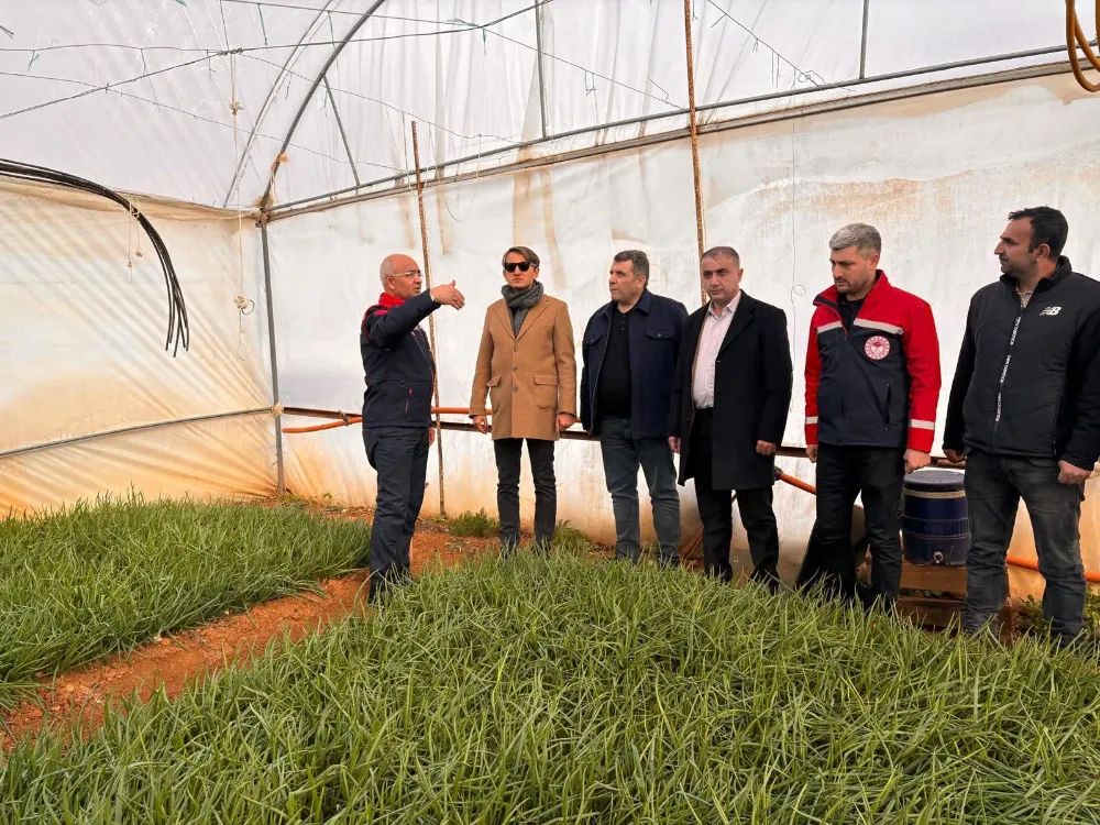 Baykan Ulaştı Köyü’nde Kar Hasarı İncelemesi: Üreticiler İçin Destek Süreci Başlatıldı