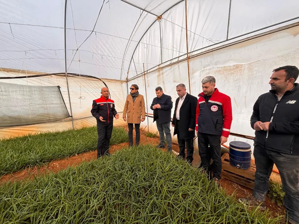 Baykan Ulaştı Köyü’nde Kar Hasarı İncelemesi: Üreticiler İçin Destek Süreci Başlatıldı