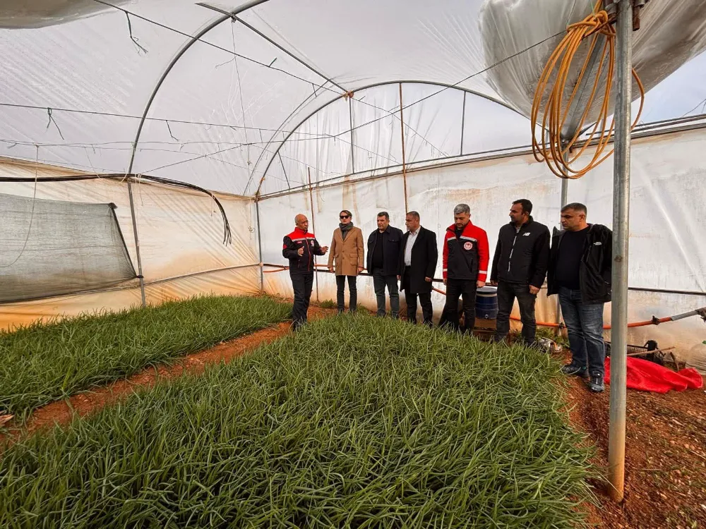 Baykan Ulaştı Köyü’nde Kar Hasarı İncelemesi: Üreticiler İçin Destek Süreci Başlatıldı