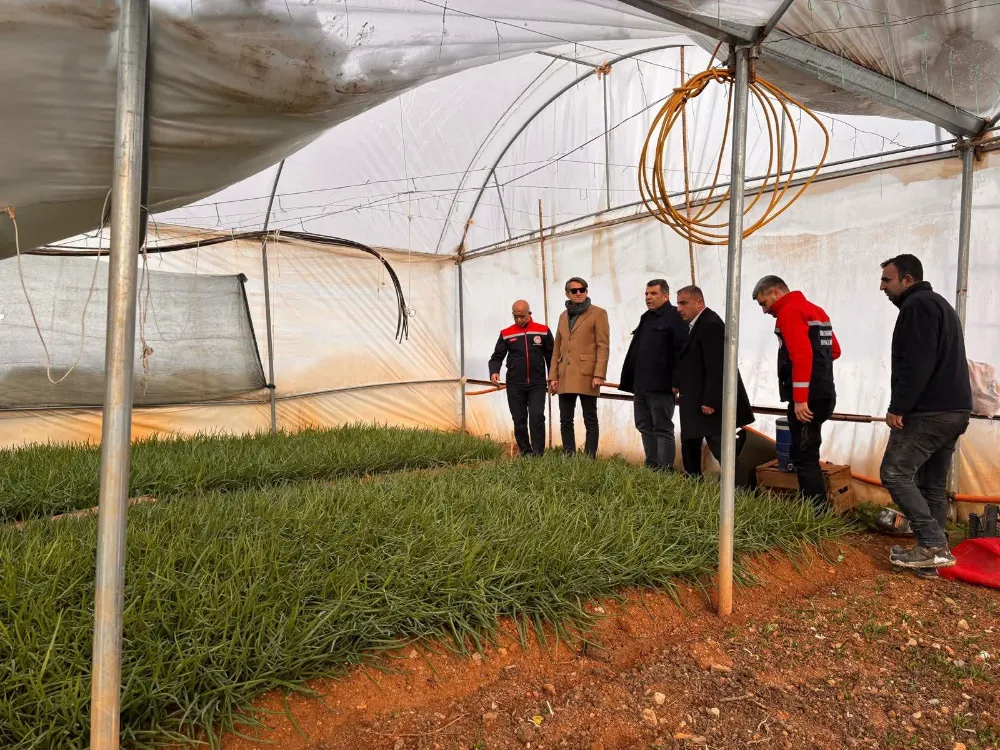 Baykan Ulaştı Köyü’nde Kar Hasarı İncelemesi: Üreticiler İçin Destek Süreci Başlatıldı