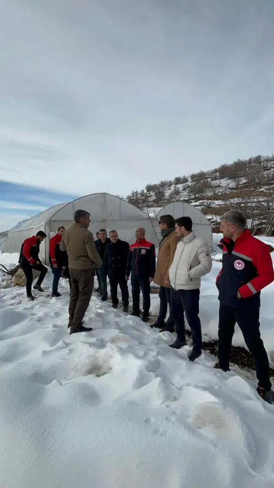 Baykan Ulaştı Köyü’nde Kar Hasarı İncelemesi: Üreticiler İçin Destek Süreci Başlatıldı