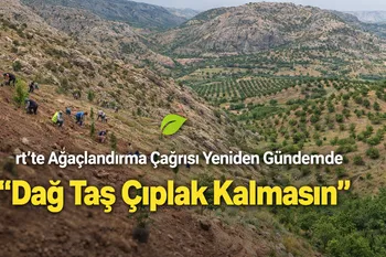 Siirt’te Ağaçlandırma Çağrısı Yeniden Gündemde: “Dağ Taş Çıplak Kalmasın”